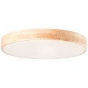 LED stmívatelné svítidlo SLIMLINE DŘEVO průměr 50cm, RC, CCT, Night Light