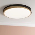 Stmívatelné LED svítidlo BAARLO DŘEVO černé průměr 50cm, RC, CCT, Night Light